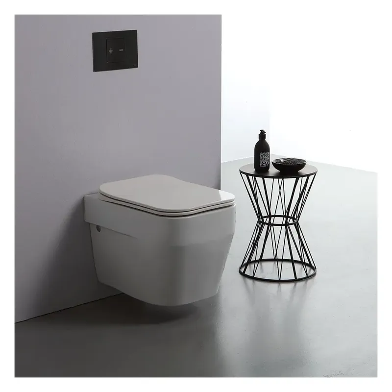 Professionale Vaso wc sospeso serie Alimonta