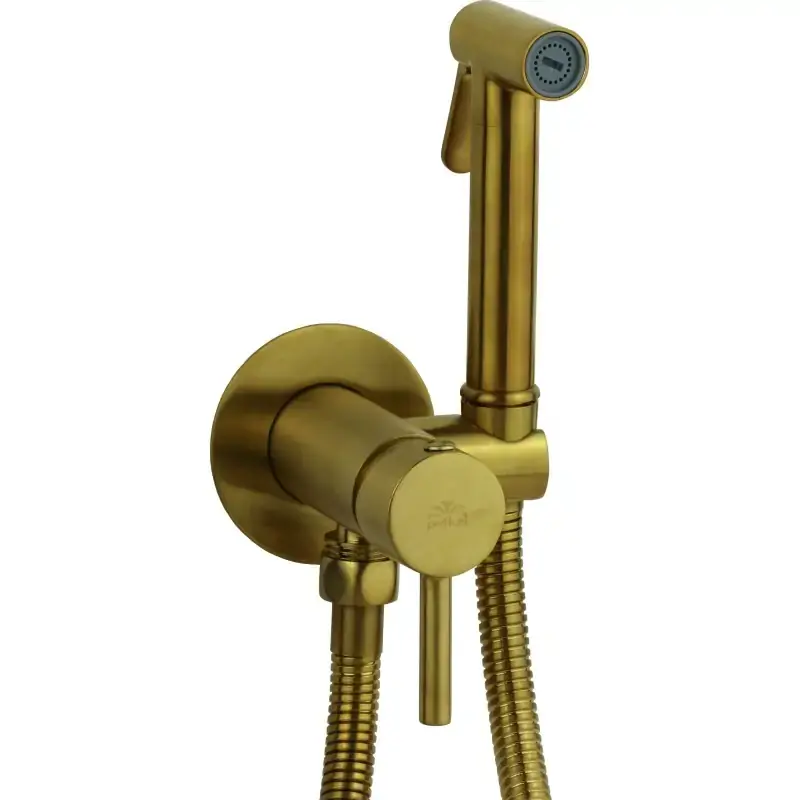 Direttamente Dal Produttore Ensemble de bidet encastré en or brossé avec mitigeur et douche Paffoni ZDUP110HGSP