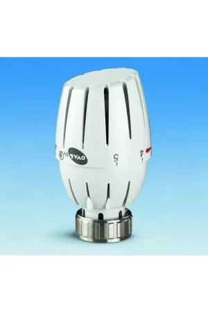 Compra Oggi Stesso Tête thermostatique OVAL Pettinaroli 107L