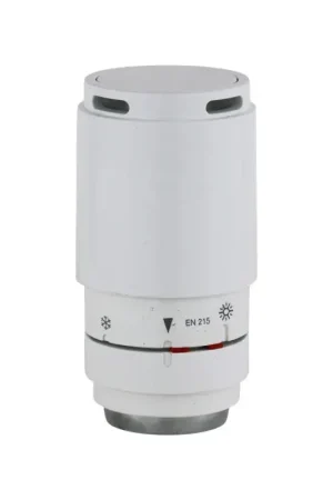 Subito Disponibile Tête thermostatique Domignon Pettinaroli 109L