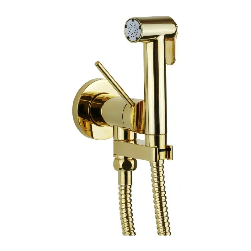 Offerta Ensemble bidet encastré couleur or avec douche hygiénique Gattoni RT010D0