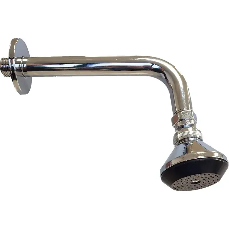 Prezzo Conveniente Bras de douche avec pomme de douche et rosace de 20 cm de long Tecom DBRD20SOFB