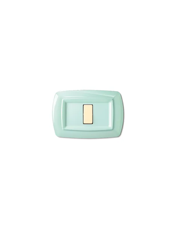 Offerta Limitata Placca 1fori tondo verde pastello 2591pg