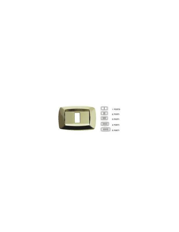 Placca modi 2 posti ottone md212 master Professionale