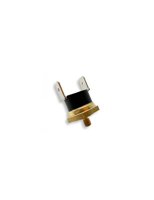 Promozione Esclusiva Termostato scatto fisso 95° faston verticale fondello a vite M4x5