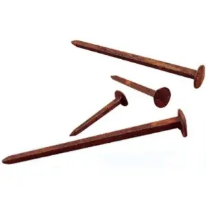 Pagamento Sicuro Chiodo UTENSIL LEGNO modello FA855 lunghezza 50 per portoncino in ferro ruggine