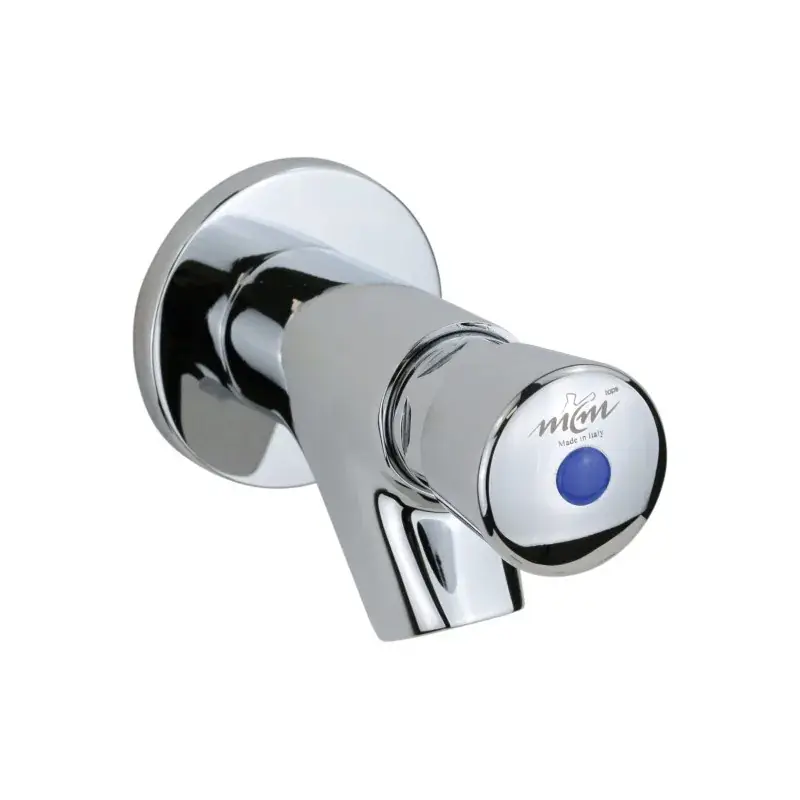 Compra Adesso Single water tap with timed button for wall installation MCM 900301