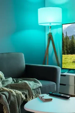 ZigBee Promozione Esclusiva