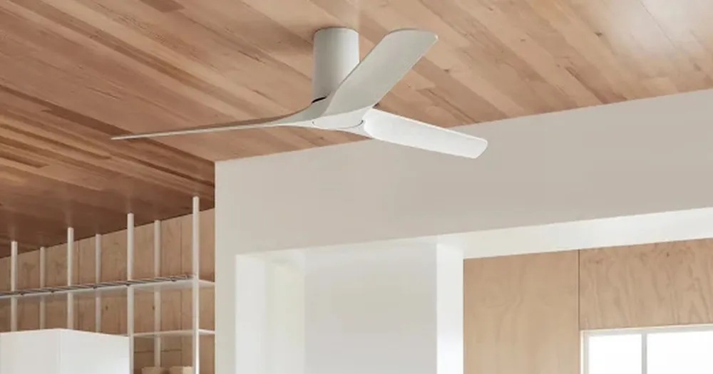 Quale ventilatore è adatto a voi? Offerta Lampo