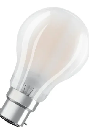 Lampadine B22 Scelto Dai Clienti
