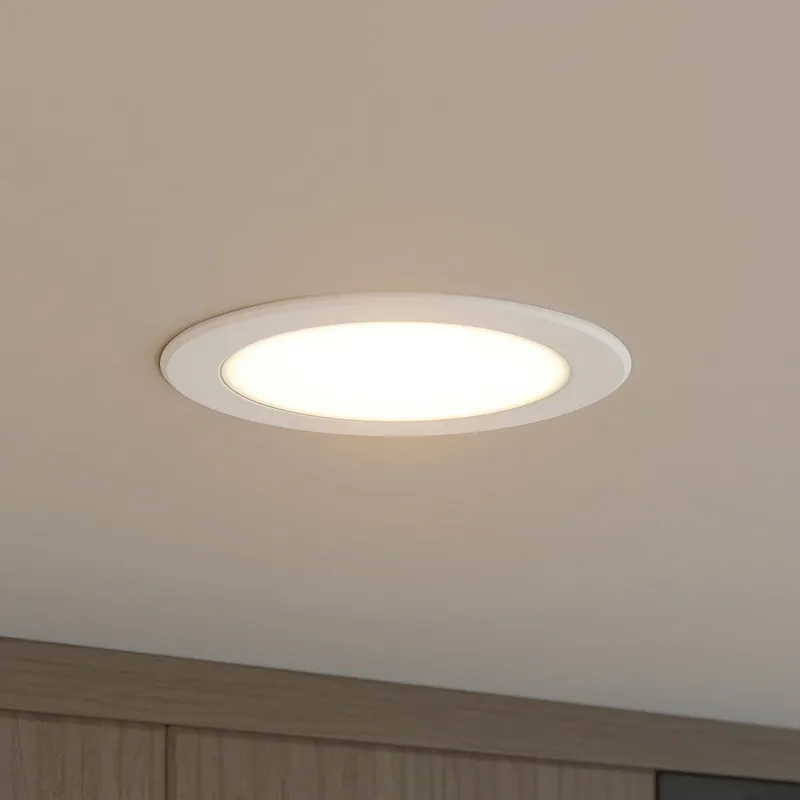 Soddisfatti O Rimborsati Downlights ad incasso