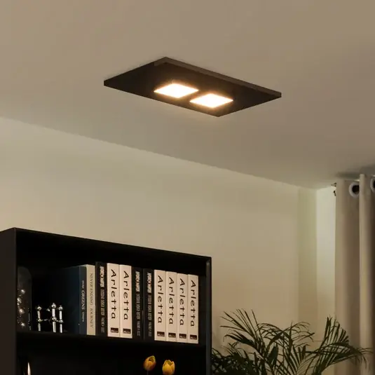 Ultime Pezzi Lucande Esteria plafoniera a 2 luci