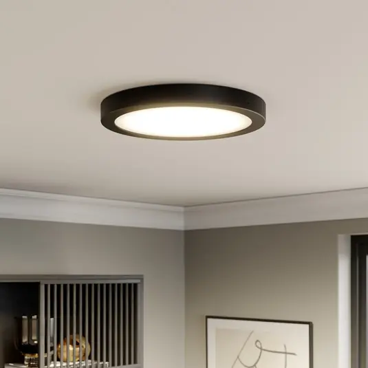 Ultime Pezzi Paulmann Abia pannello LED Ø 30cm 2.700K nero