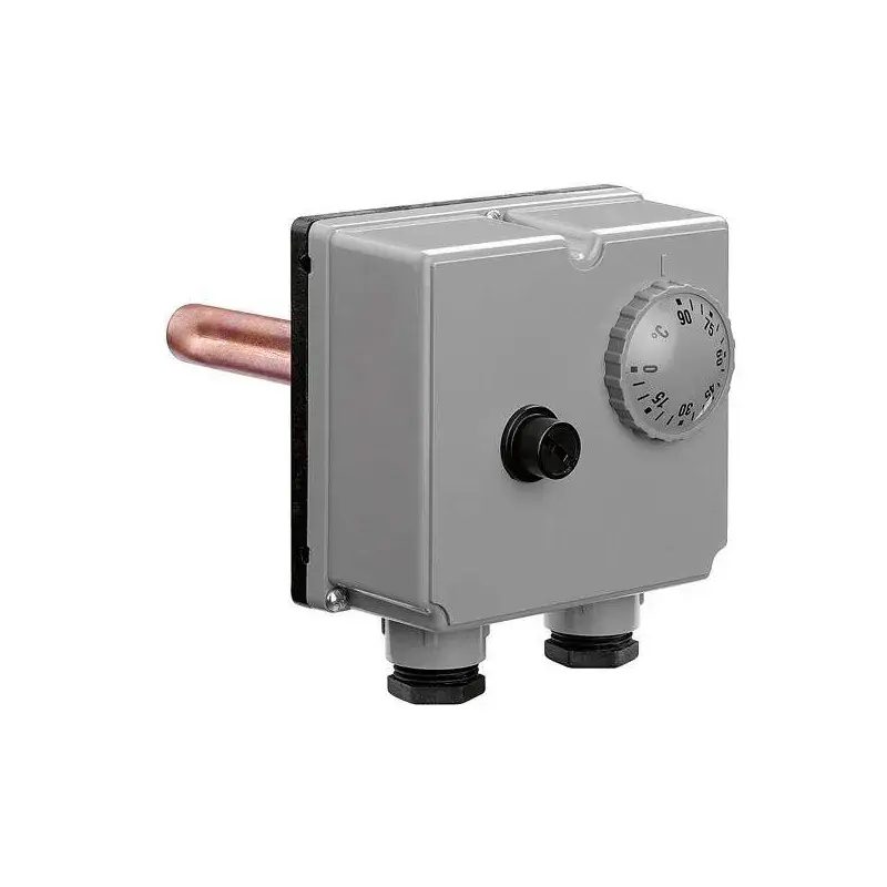 Non Perdere Immersion bi-thermostat with socket 1/2" connection Caleffi 623