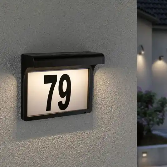 Ultima Occasione Paulmann Dayton lampada LED solare numero civico