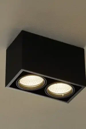 Arcchio Cirdan Plafoniera LED a 2 luci, nero Subito Disponibile