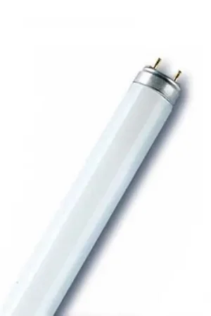 G13 T8 36W Fluora per piante Offerta Speciale