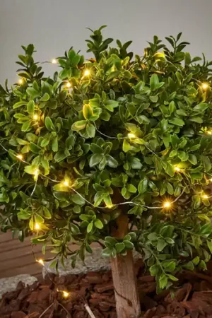 Dew Drop - catena luminosa solare da 250 cm Compra Online