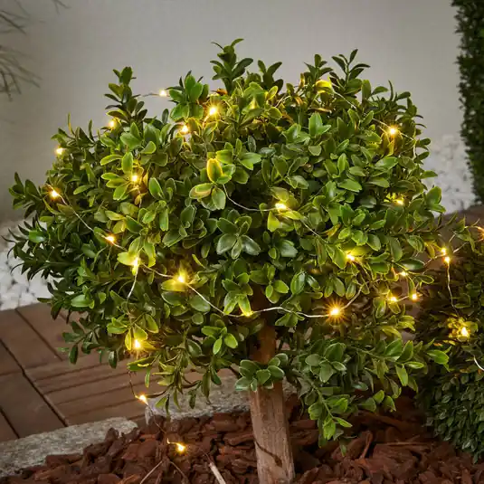 Dew Drop - catena luminosa solare da 250 cm Compra Online