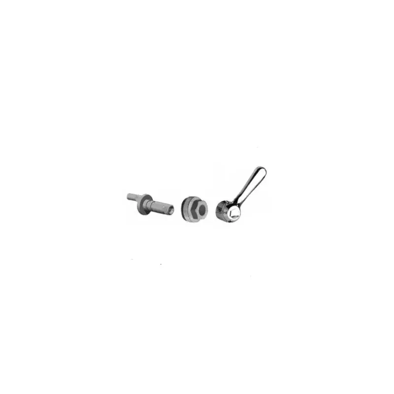 Automatic deviator replacement Paini Liberty 17CR924 Sconto