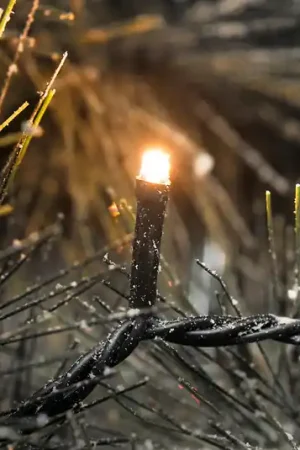 Novità Ghirlanda luminosa LED Micro 400 con trasformatore