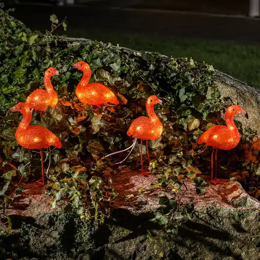 Lampada decorativa a LED Flamingo, set da 5 Quantità Limitata
