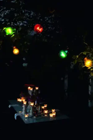 Catena luminosa LED Biergarten 20 luci colorate Promo Stagionale