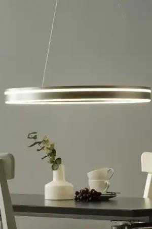 Paul Neuhaus Q-VITO sospensione LED 59cm acciaio Vendita Finale