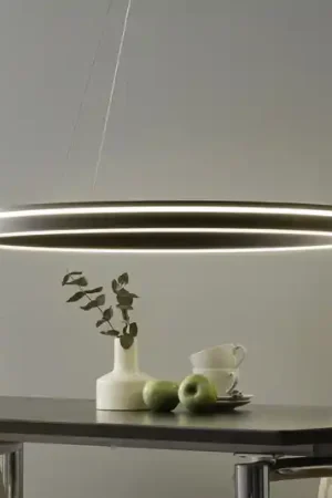 Vendita Finale Paul Neuhaus Q-VITO sospensione LED 79cm antracite