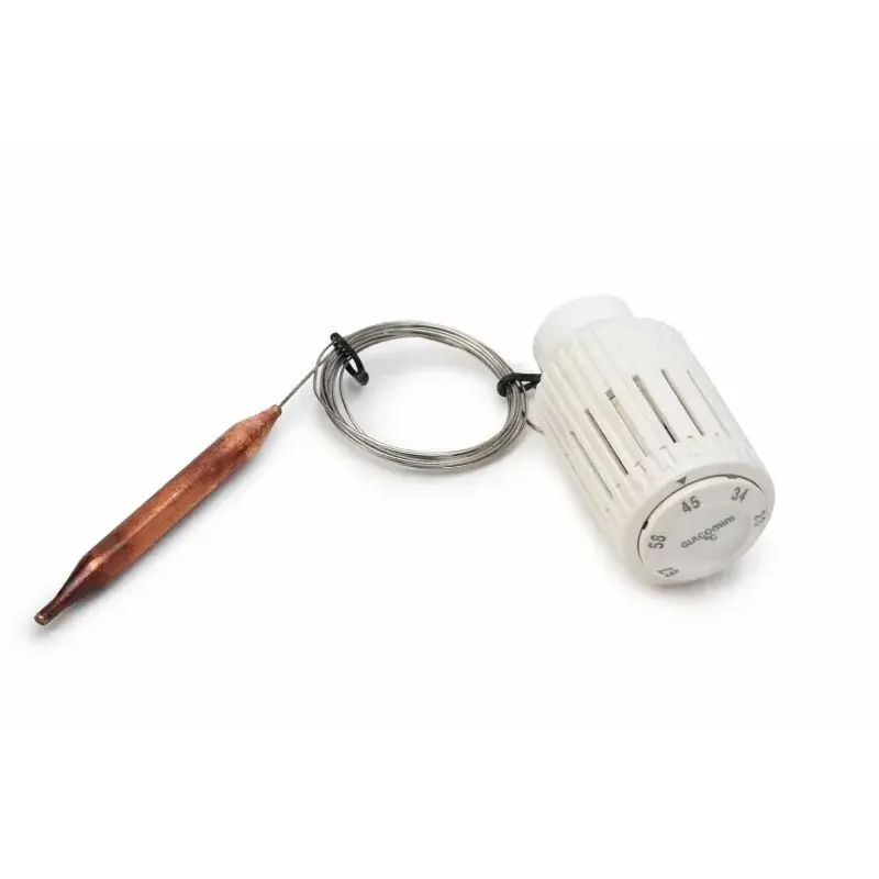 Thermostatic head with remote liquid sensor Giacomini R462LX Sconto
