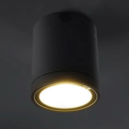 Plafoniera LED Negro per uso esterno Esclusivo