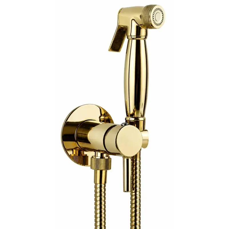 Scelto Dai Clienti Built-in bidet set with hot and cold water mixer in gold color EFFE Pollini D09181203DO