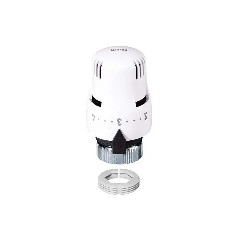 Offerta Speciale Thermostatic control caleffi 200000