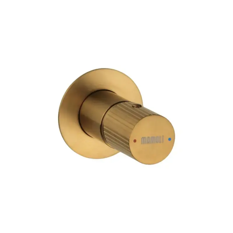 Offerta Lampo Miscelatore monocomando da incasso per doccia 1 uscita colore ottone spazzolato Mamoli Tuttodunpezzo 37300000002G