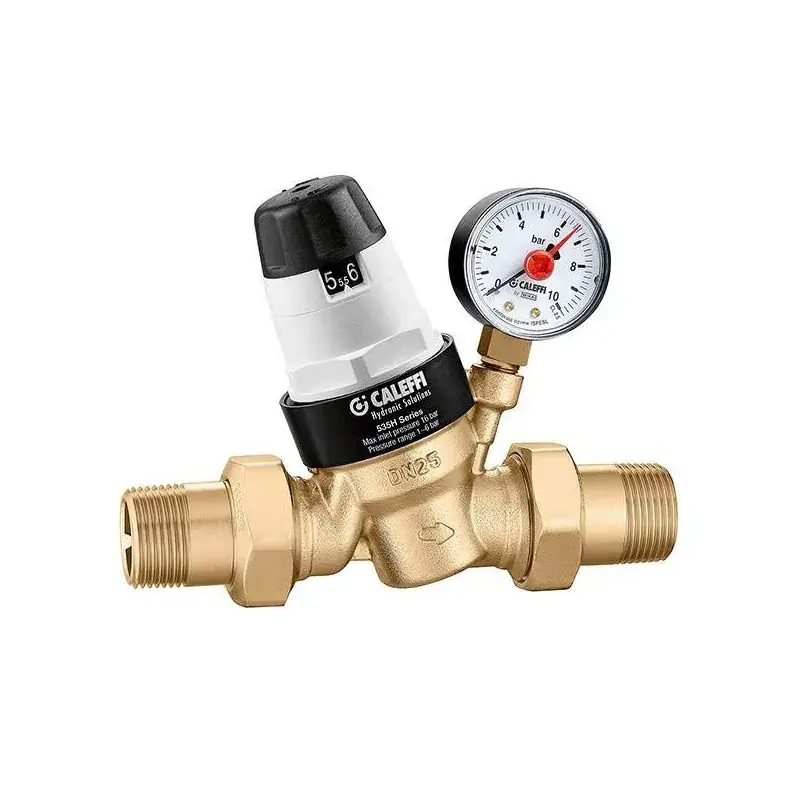 Professionale Riduttore di pressione con cartuccia estraibile Caleffi 5350H