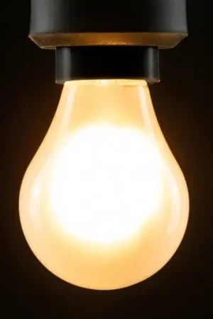 Sconto Segula Lampadina LED E14 3W 2.200K dimmerabile opaca