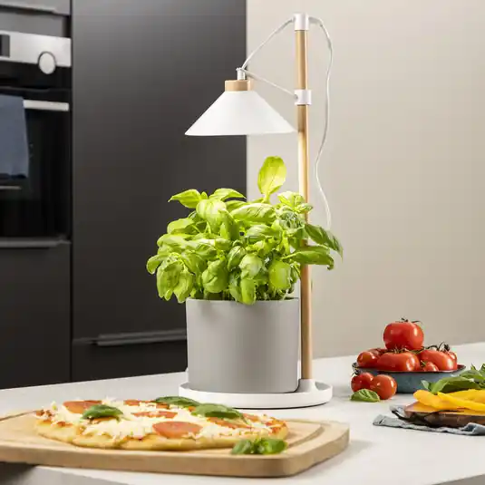 Ultima Occasione Lampada per piante a LED ISL-60028