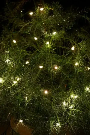 Catena luminosa LED Knirke da esterni, 40 luci Ultime Pezzi