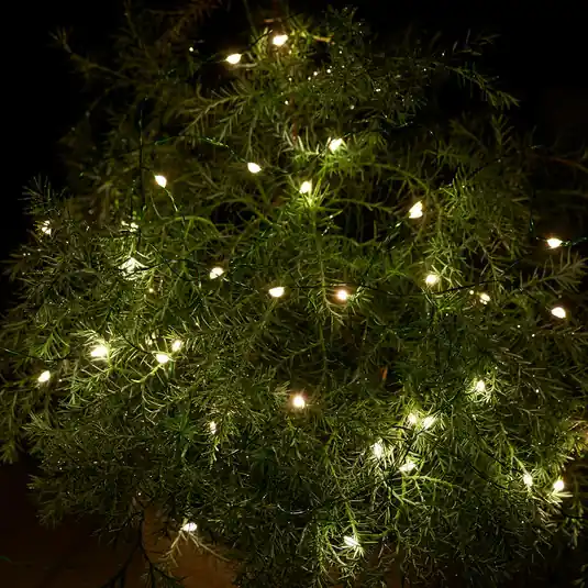 Catena luminosa LED Knirke da esterni, 40 luci Ultime Pezzi