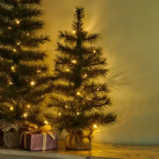Compra Oggi Stesso Albero ALVIN a LED per interni ed esterni, altezza 60 cm