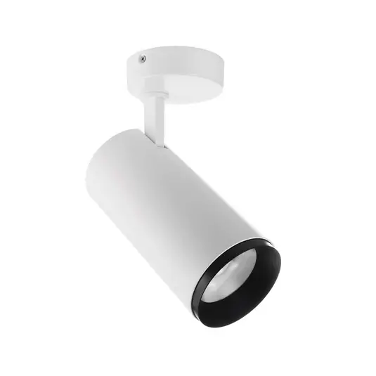 Faretto da soffitto a LED Lucea, orientabile, 30 W bianco Offerta