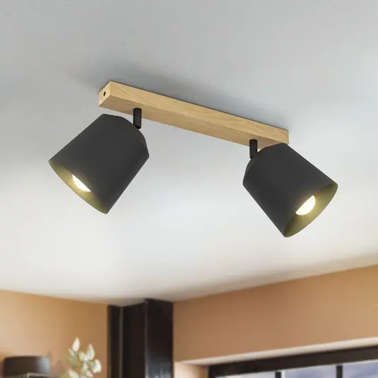 Spedizione Espresso EGLO Cotorro faretto a soffitto, 2 luci