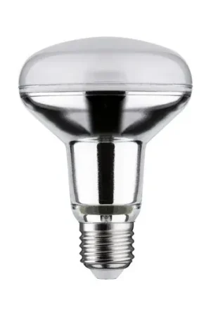 Vendita Finale Paulmann LED riflettore E27 10W 800lm 4.000K 36°