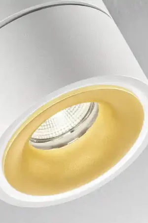 Acquista Ora Egger DLS Faretto da soffitto LED Clippo S Duo, a 2 luci, bianco-oro