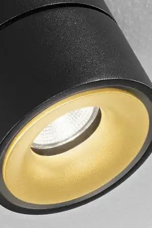 Soddisfatti O Rimborsati Egger DLS Faretto da soffitto LED Clippo S Duo, nero-oro