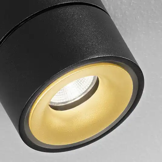 Soddisfatti O Rimborsati Egger DLS Faretto da soffitto LED Clippo S Duo, nero-oro
