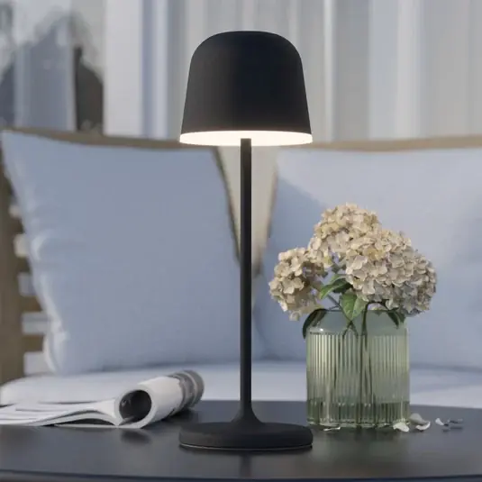 Occasione Lampada LED da tavolo Mannera con accu, nero