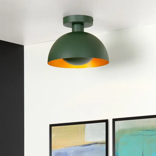 Pagamento Sicuro Plafoniera Siemon di acciaio, Ø 25 cm, verde