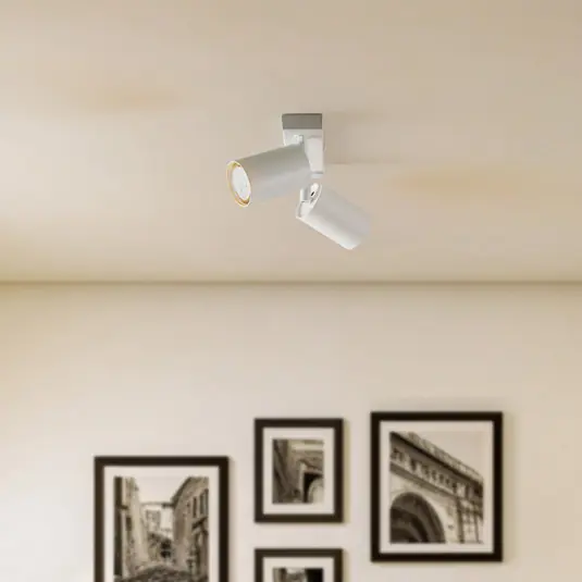 Spedizione Espresso Faretto da soffitto Zoom, a 2 luci, bianco