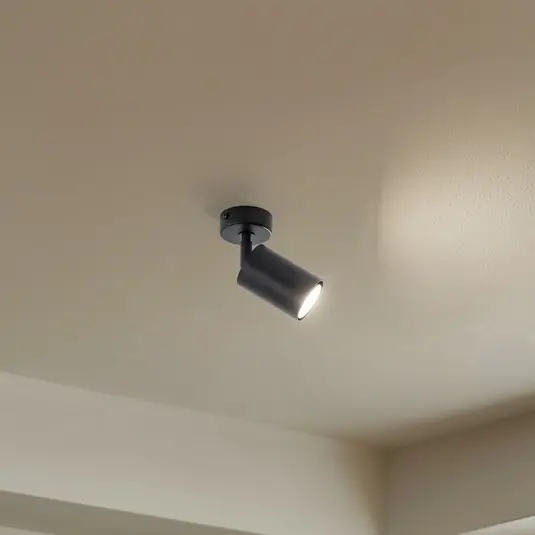 Faretto da soffitto Zoom, a 1 luce, nero Soddisfatti O Rimborsati